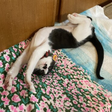 の写真