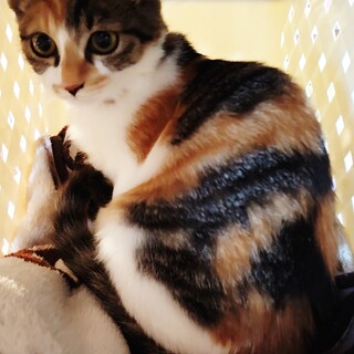 ❤️弱虫で臆病な　私を優しく見守って下さい❤️