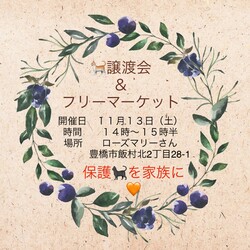 愛知県豊橋市　保護猫の譲渡会&フリーマーケット
