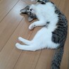 りょうぺ
