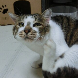 人が大好き☆いいちこさん☆男の子