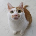 鳴き方独特☆アンドリューくん