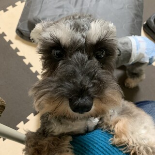 甘えたでベッタリな女の子♪