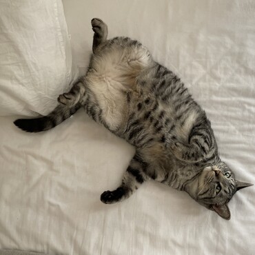 の写真