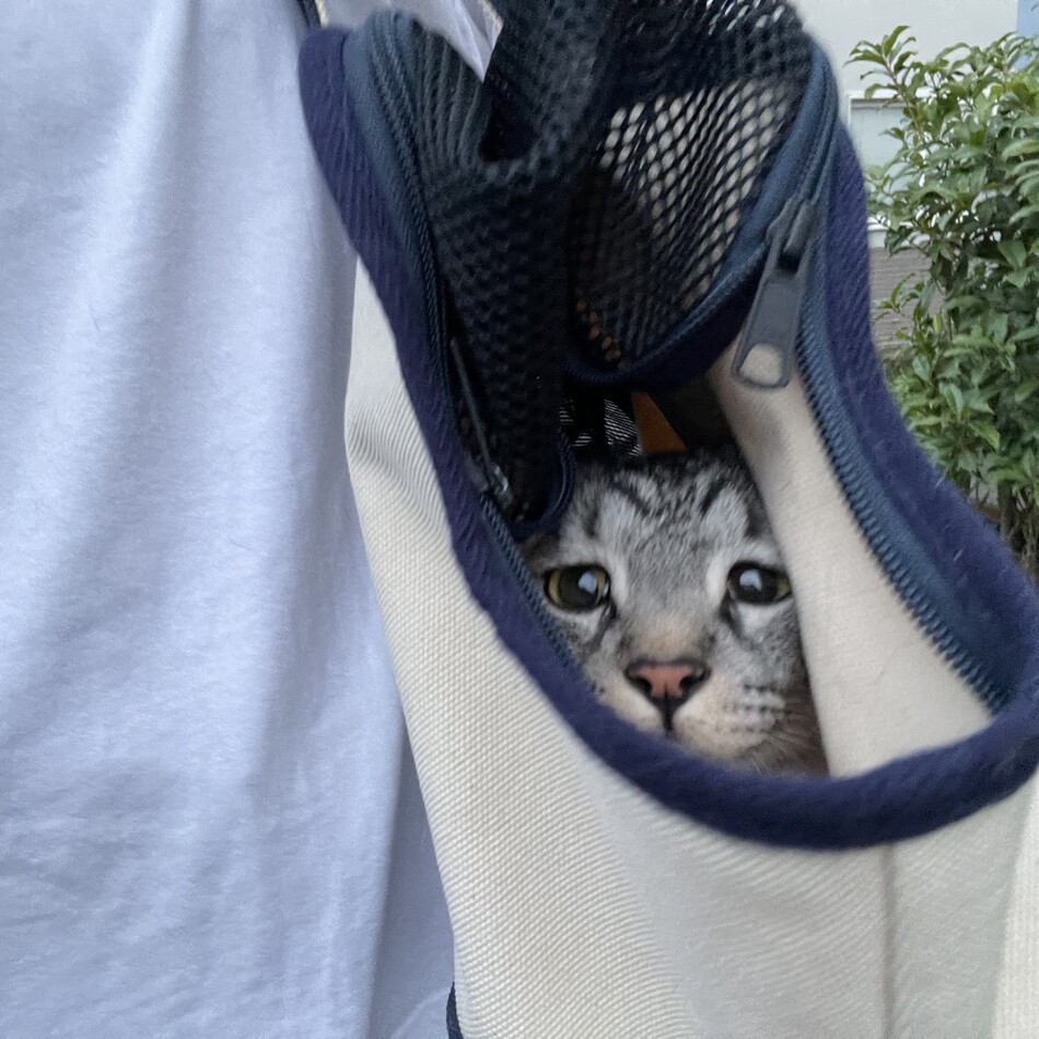 諭吉のカバー写真