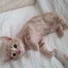 なーに？