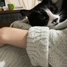 の写真