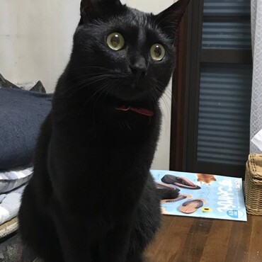 2歳になったよ