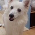 フレンドリーなキョロちゃん４才