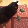 クェさん。
