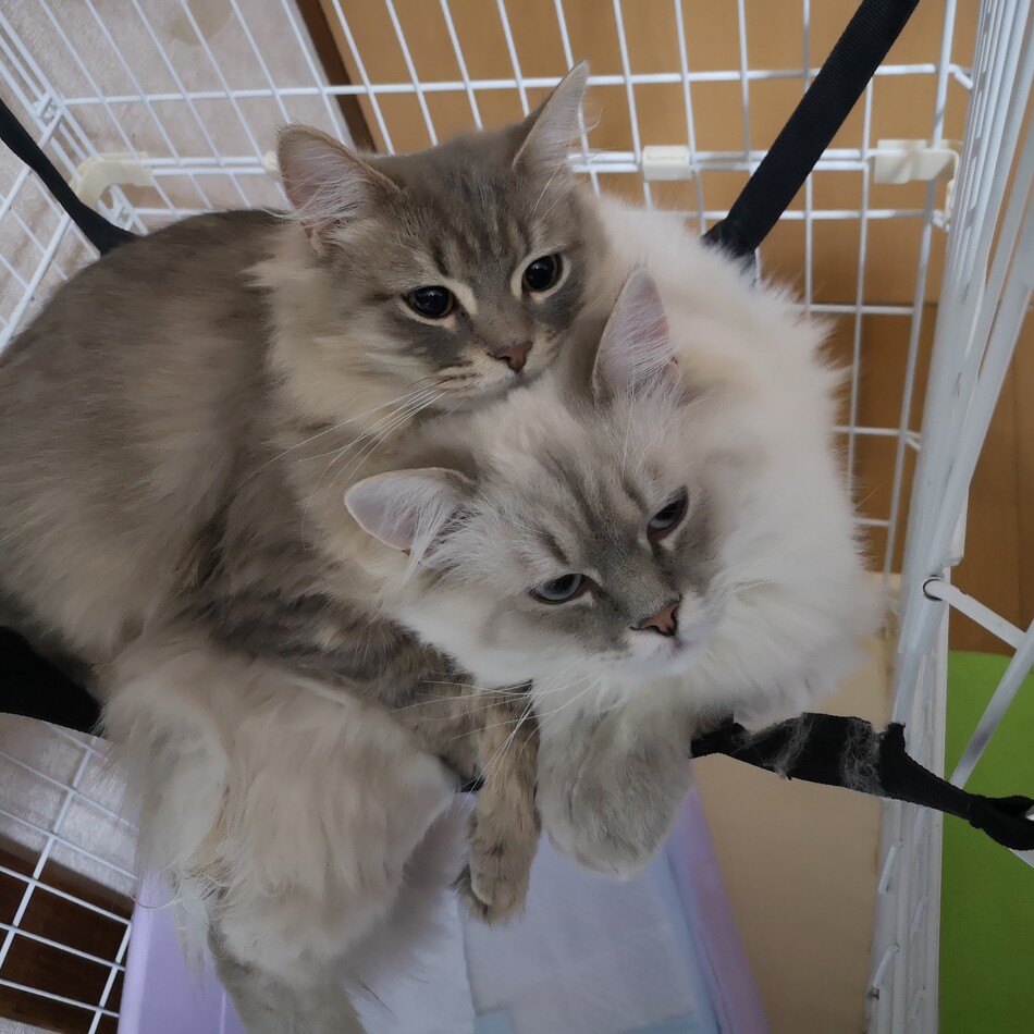 ベイのカバー写真