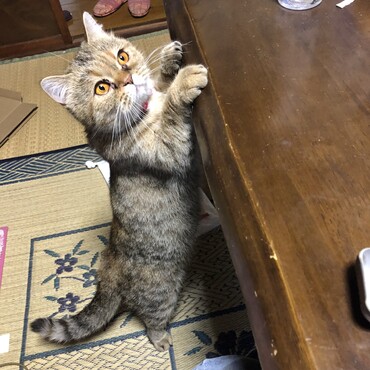 元気にしてます