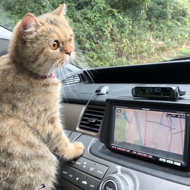 車の旅