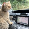 車の旅