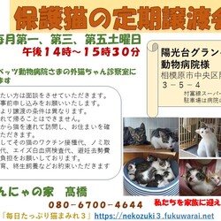 みんにゃの家 保護猫の譲渡会