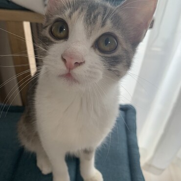 の写真