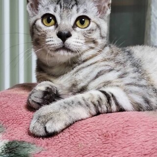 疾患がありますが元気です！