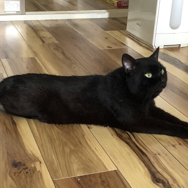 江戸屋のカバー写真