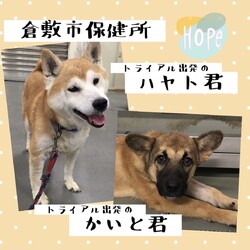 2021年10月22日の倉敷→全頭卒業！