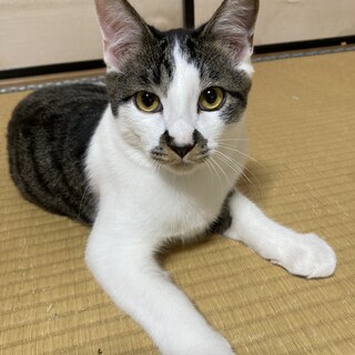 ヤンチャで可愛いセージ❗️