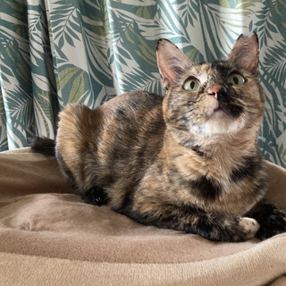 ★おヒザが大好き愛嬌抜群の女の子★