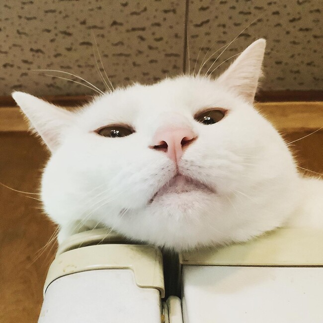 bucchin72のカバー写真
