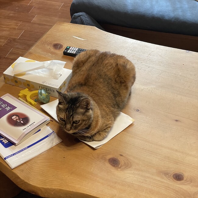 pureharmonyのカバー写真