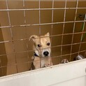 怖がってるようですが威嚇はないようです。