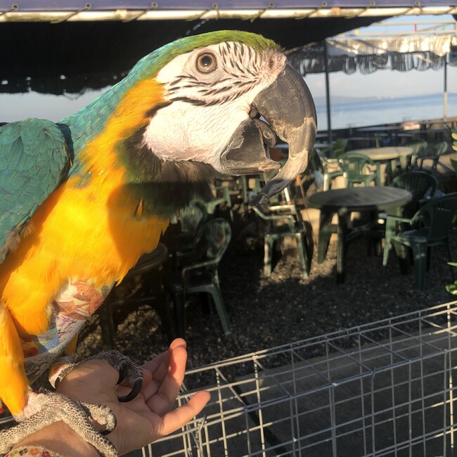 フルルミのカバー写真
