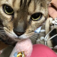 レオとなっちゃん