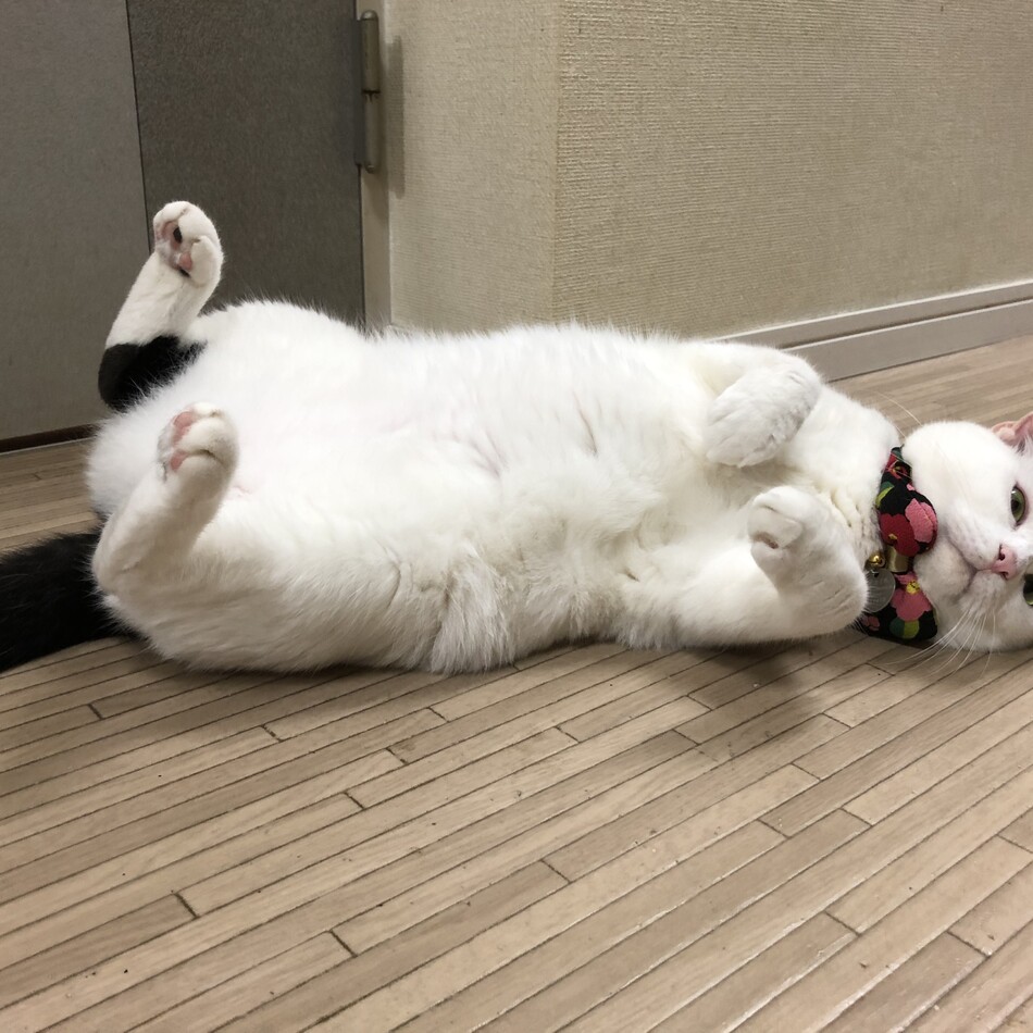部長のカバー写真