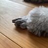 ぱんもっち