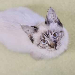 そむたむ♡家族ができました