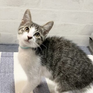 ミルクで育てた甘えん坊☆