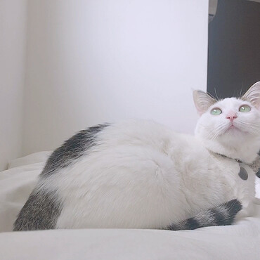 の写真