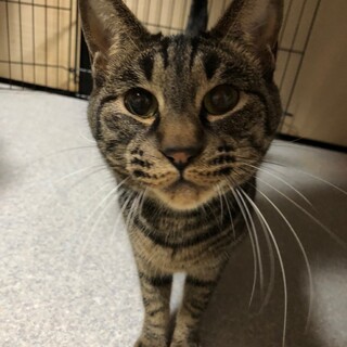 オモチャと添い寝が大好き♡じゆうくん