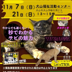 ねこの譲渡会＠犬山市福祉活動センター
