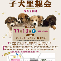 仔犬里親会