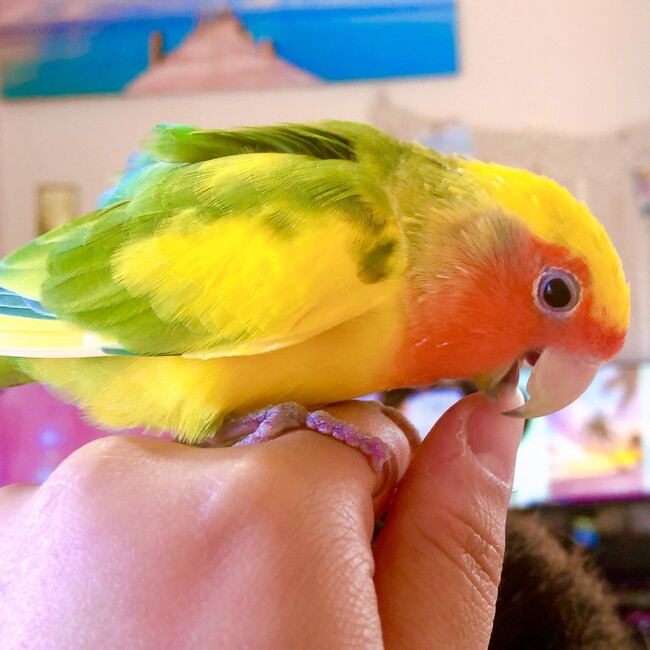 KIEきらのカバー写真