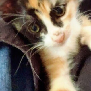 天真爛漫女子こはるちゃん♪