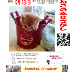 ねこの幸せさがし　譲渡会 サムネイル2