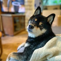 小太郎