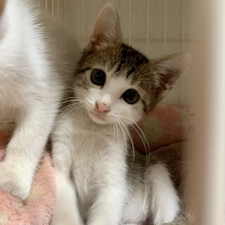 おかっぱイケメン♡