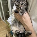 人が大好きなマイちゃん