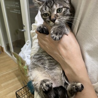 人が大好きなマイちゃん