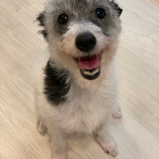 暗い過去を物ともせず！ハッピーオーラ全開の女の子