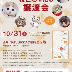 ねこざんまい譲渡会@八丁堀