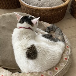 ユズコさん、痩せちまったなぁ〜