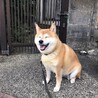 はまじファミリー