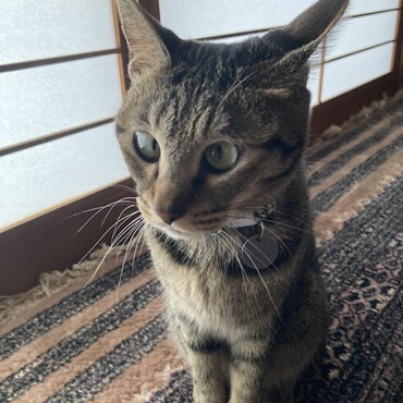 の写真